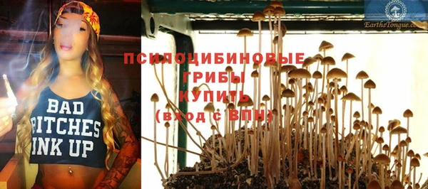 гидра Алзамай